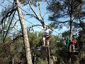 2004-08 Acrobranches 075